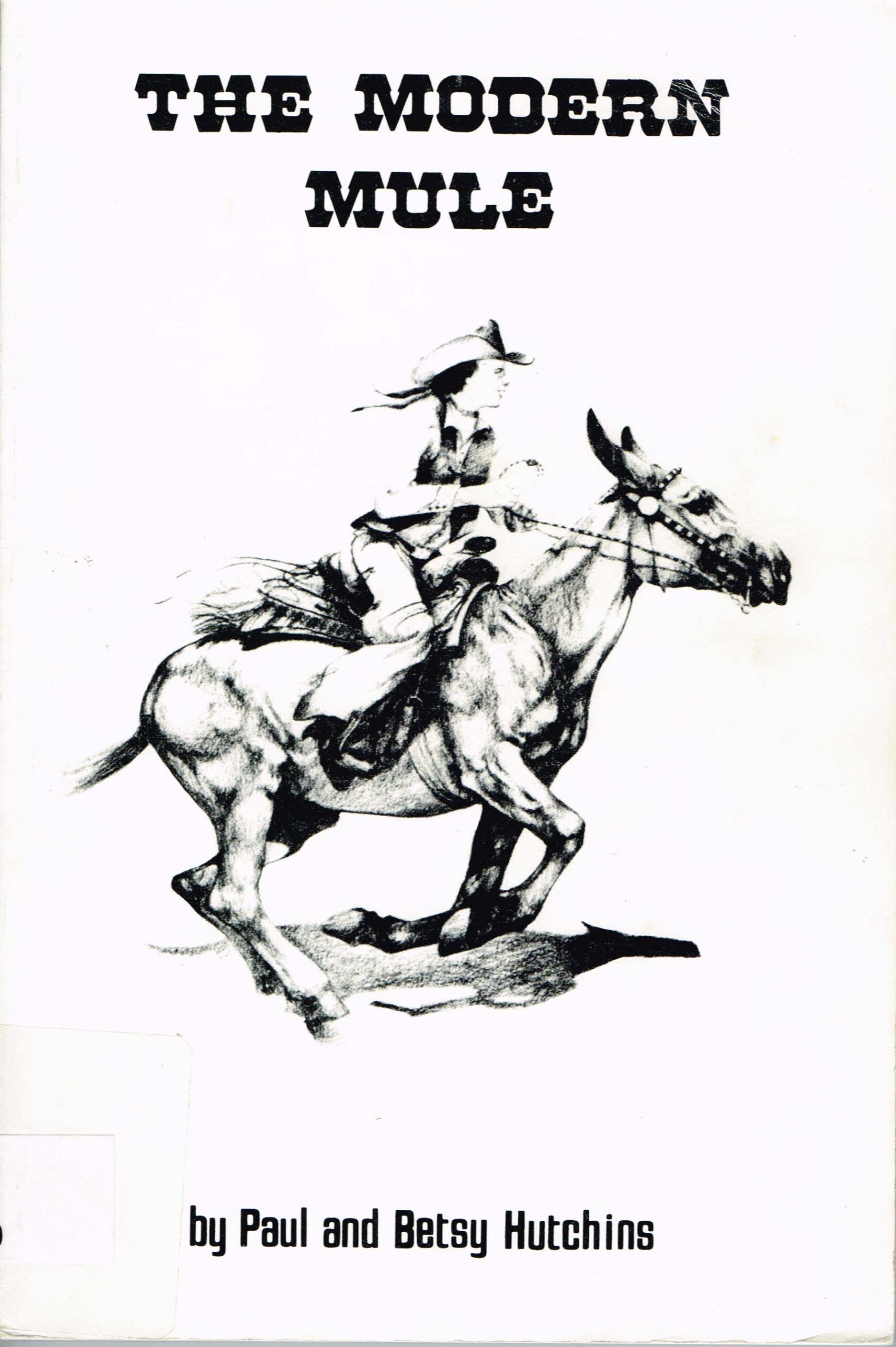 The Modern Mule