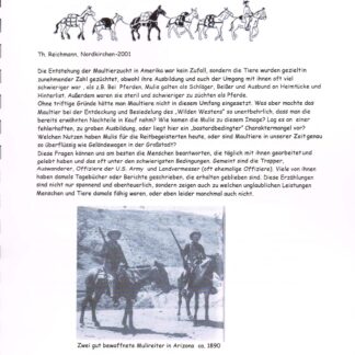 Maultiere, Trapper, Soldaten und Auswanderer