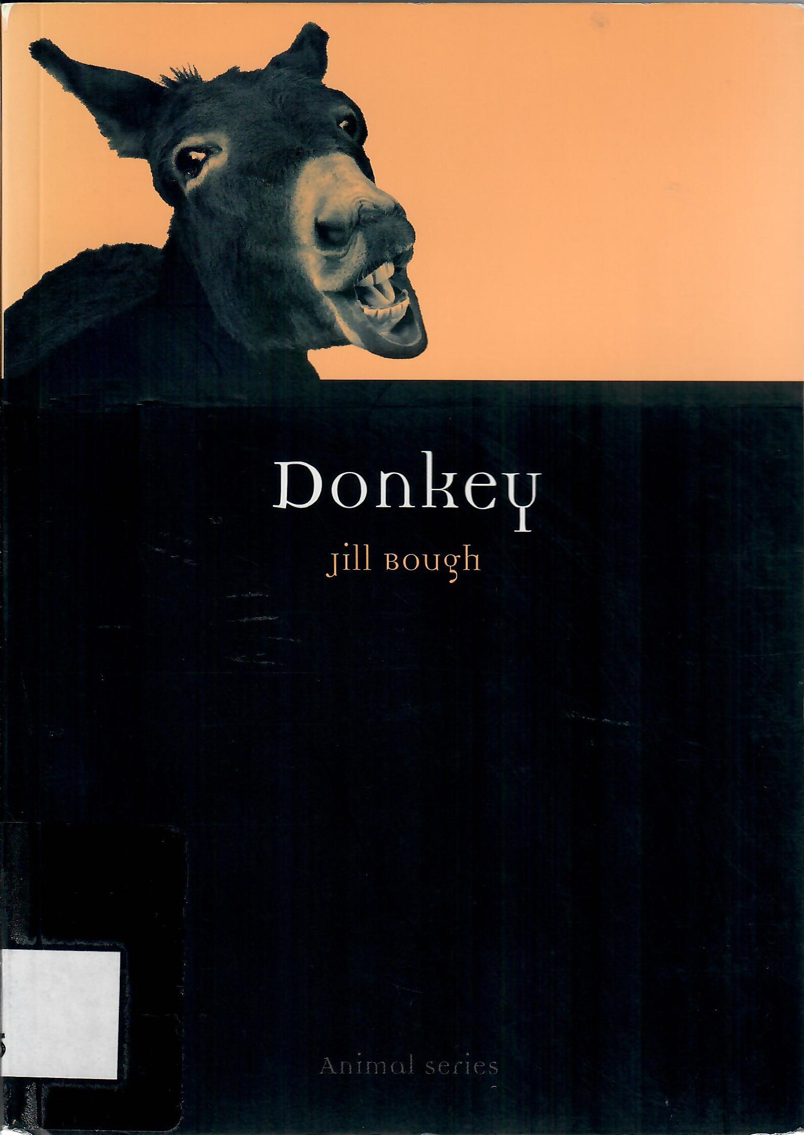 Donkey