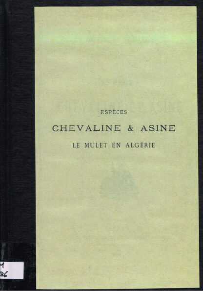 Espèces chevaline et asine