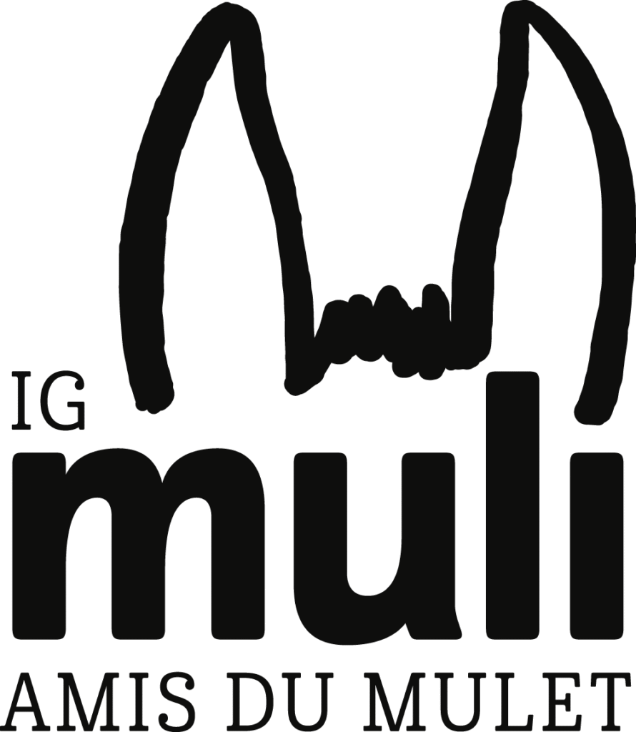 IG Maultier