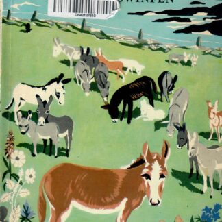 The Irish Donkey