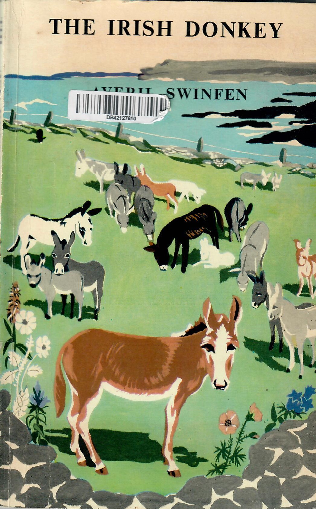 The Irish Donkey
