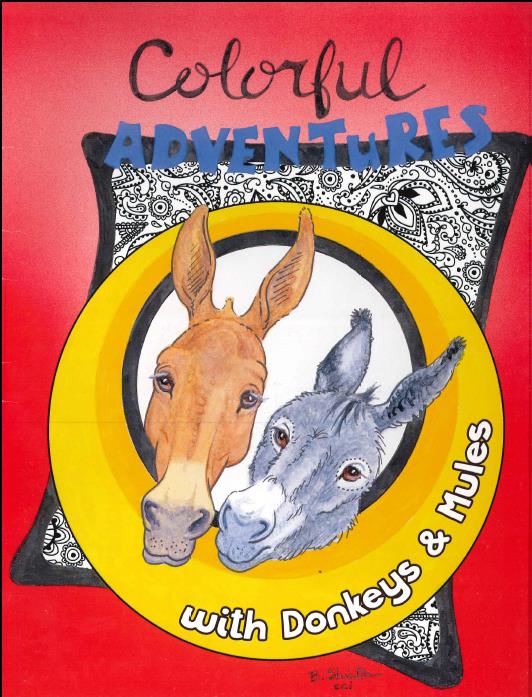 Colorful Adventures with Donkeys & Mules