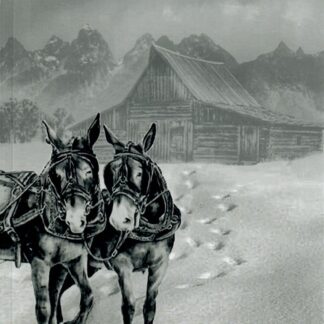 Deadly is the Winter