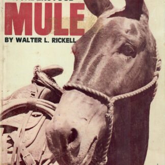 The Misunderstood Mule