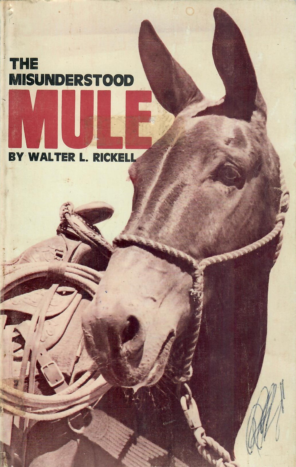 The Misunderstood Mule
