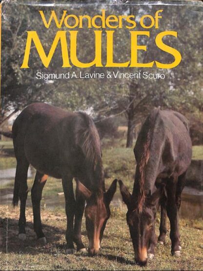 Wonder of Mules