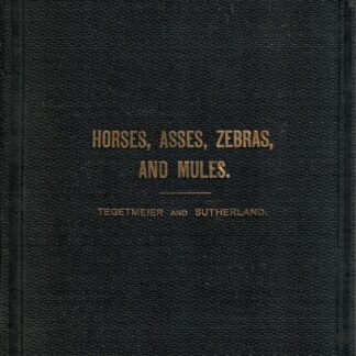 Horses, Asses, Zebras and Mules