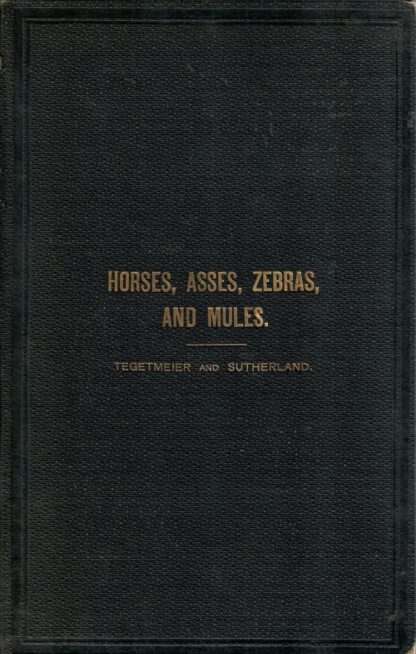 Horses, Asses, Zebras and Mules