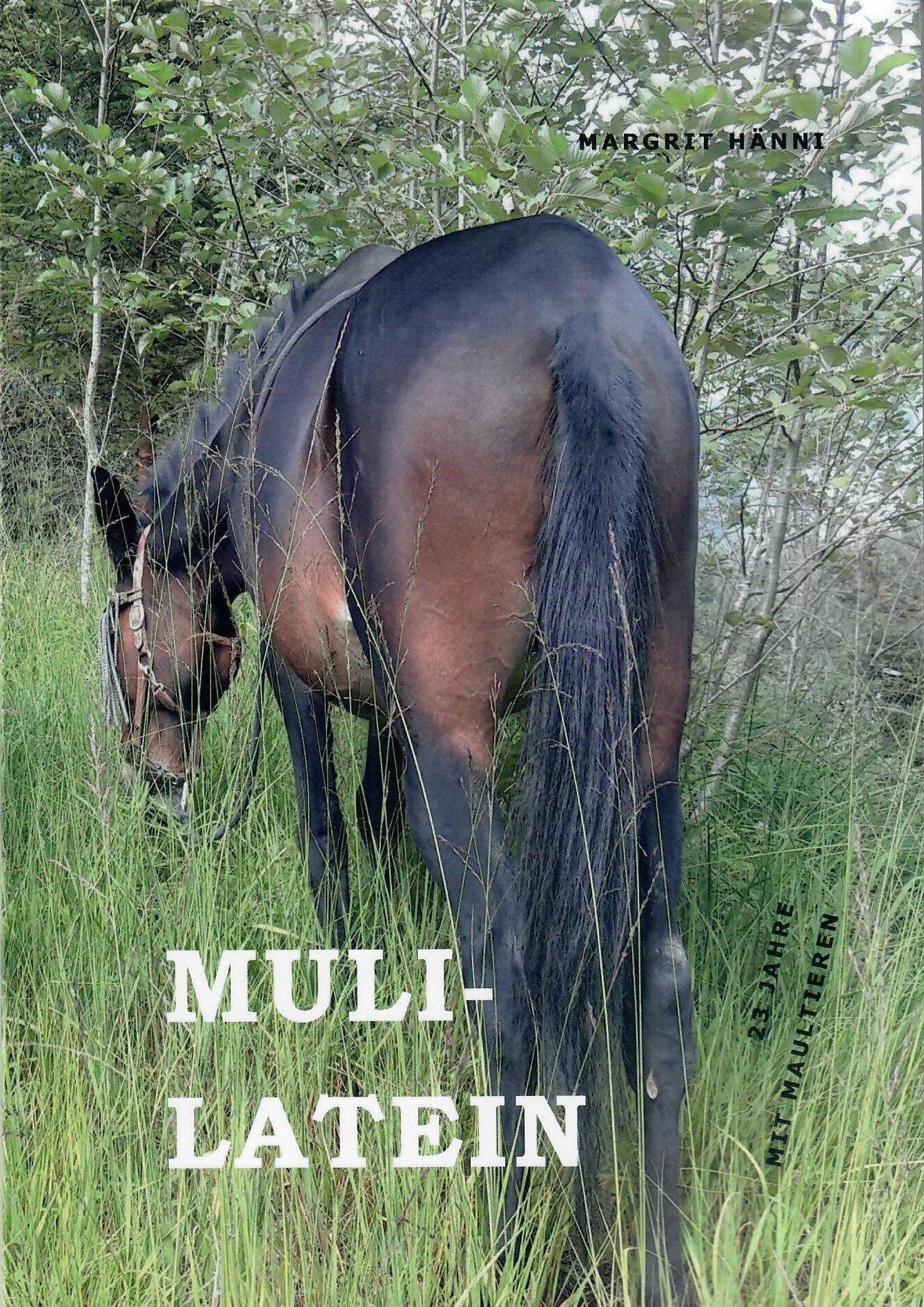 Muli-Latein