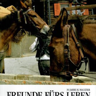 Freunde fürs Leben