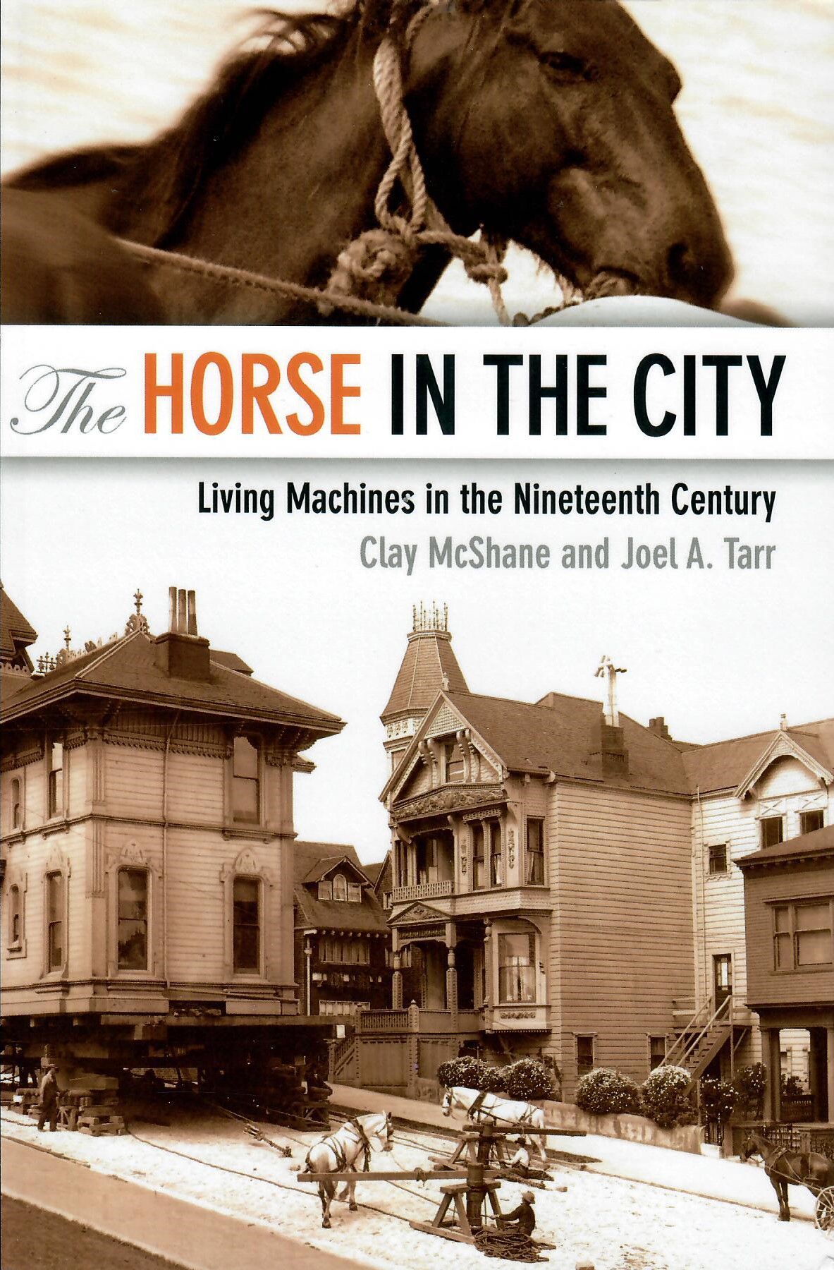 The Horse in the City