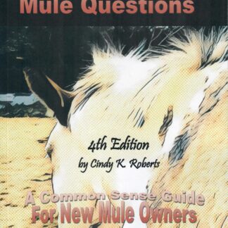 Answer to your Mule Questions