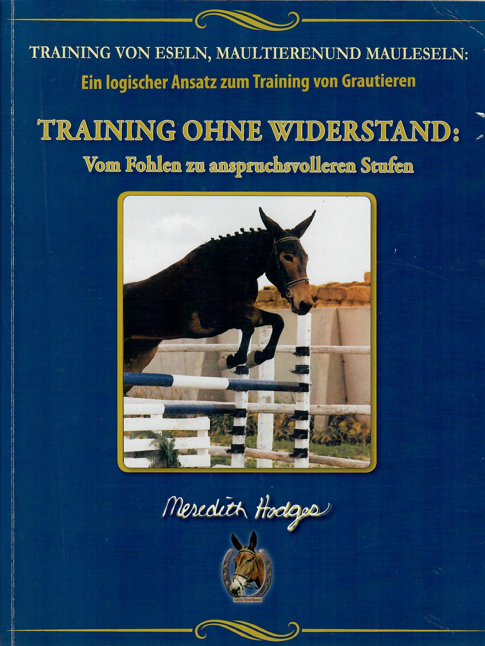 Training ohne Widerstand