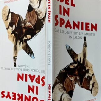 Esel in Spanien / Donkeys in Spain