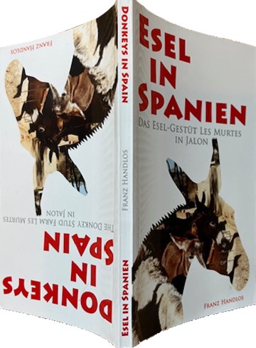 Esel in Spanien / Donkeys in Spain