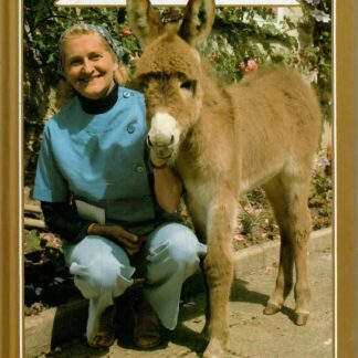 Twelve of my favourite Donkeys
