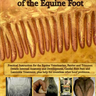 Care and Rehabilitation of the Equine Foot