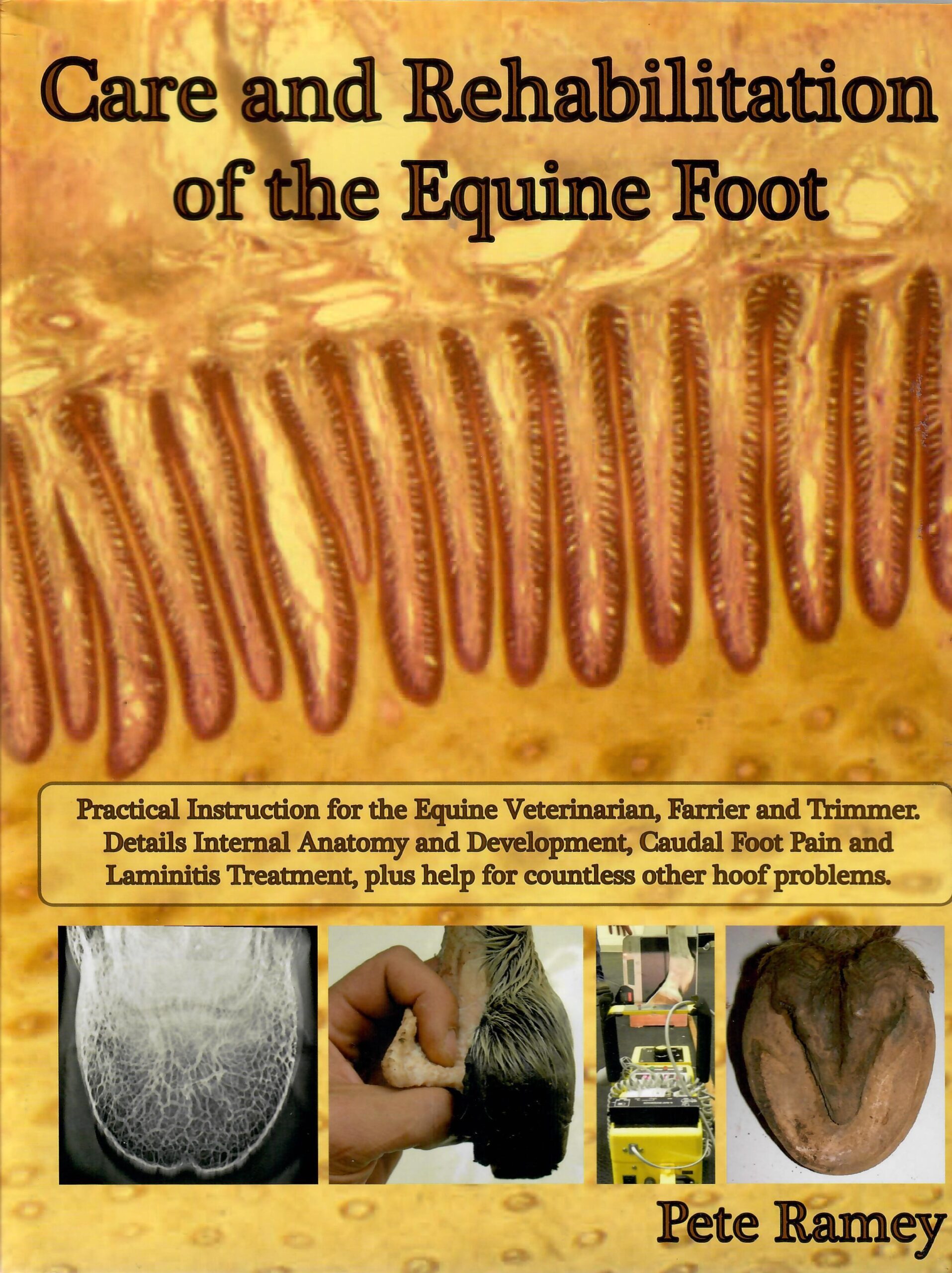 Care and Rehabilitation of the Equine Foot