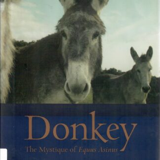 Donkey