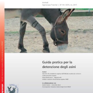 Guida practica per la detenzione degli asini