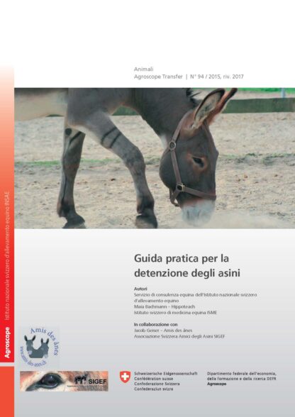 Guida practica per la detenzione degli asini