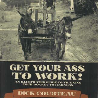 Get your Ass to Work