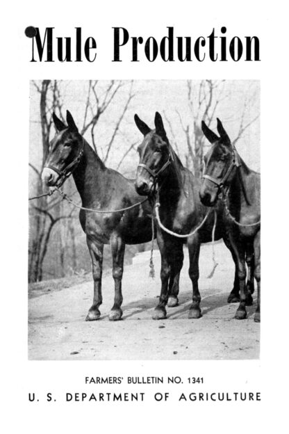 Mule Production