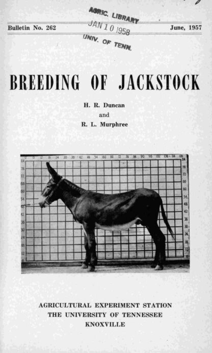 Breeding of Jackstock