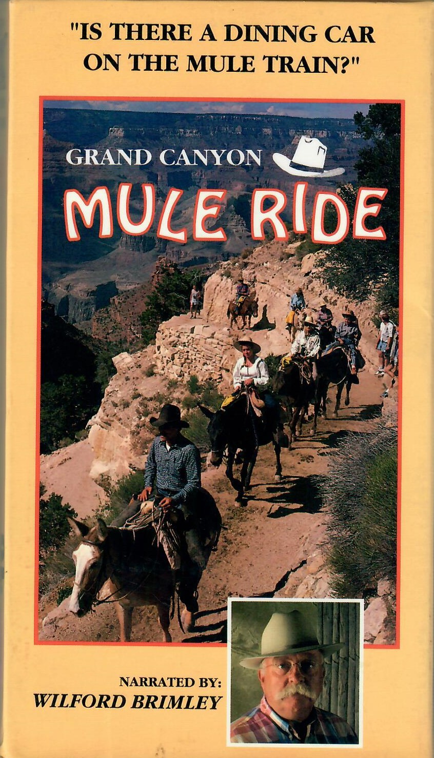 Grand Canyon Mule Ride
