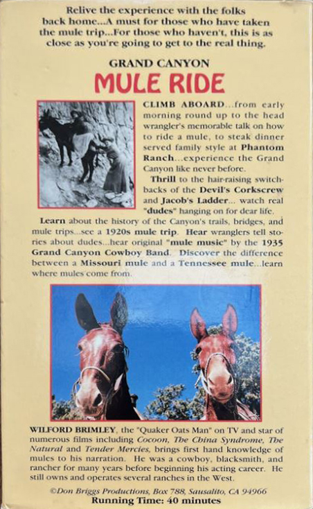 Grand Canyon Mule Ride – Bild 2
