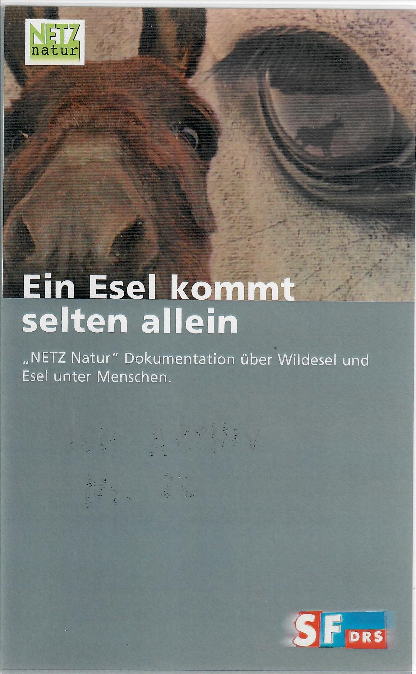 Ein Esel kommt selten allein