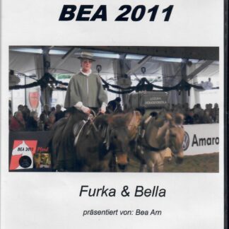 BEA 2011