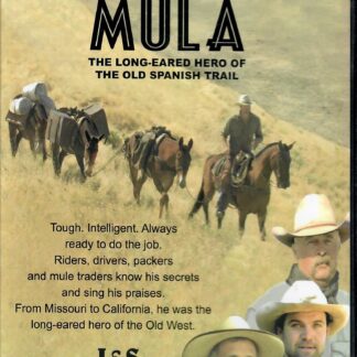 Mula