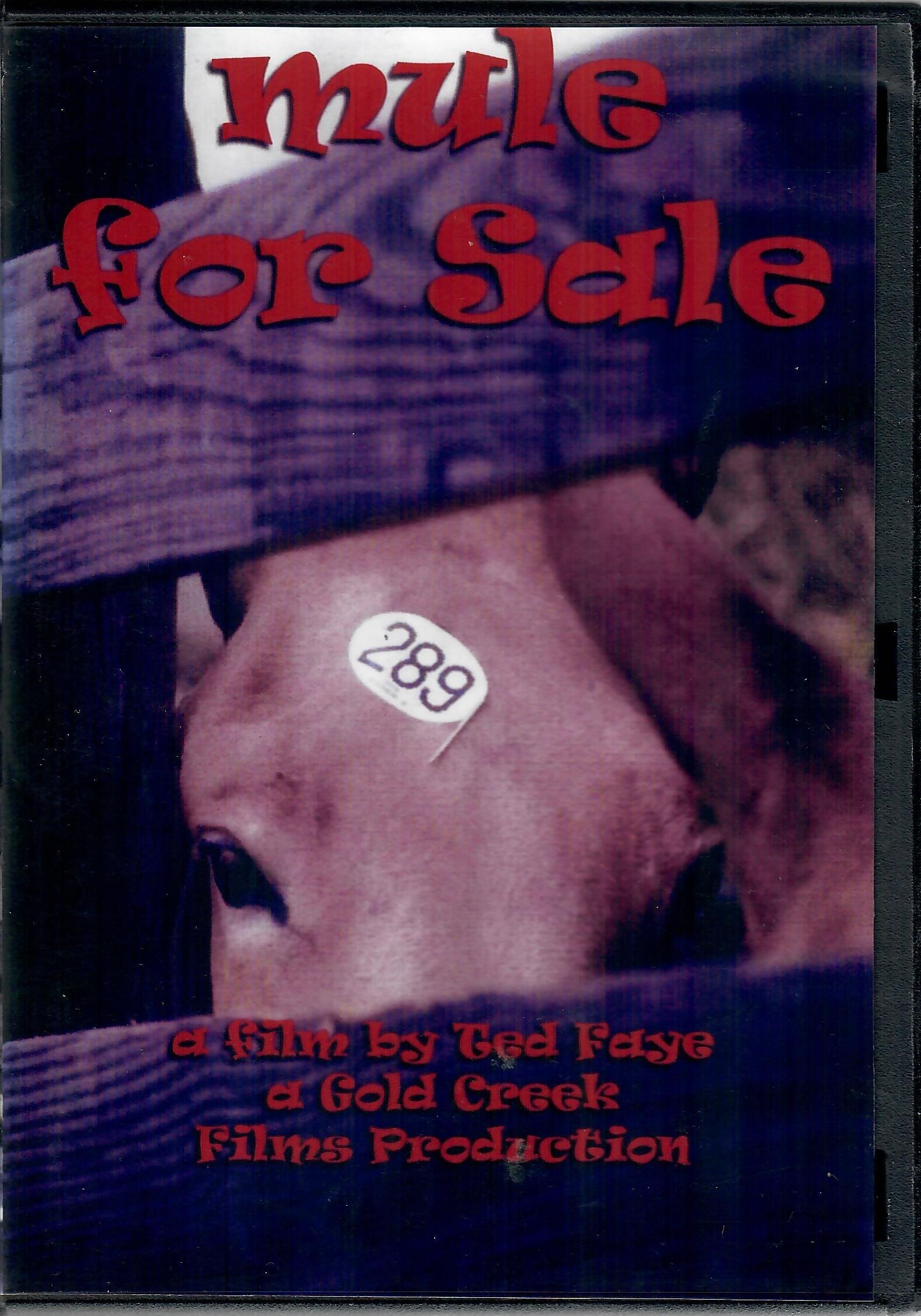 Mule for Sale