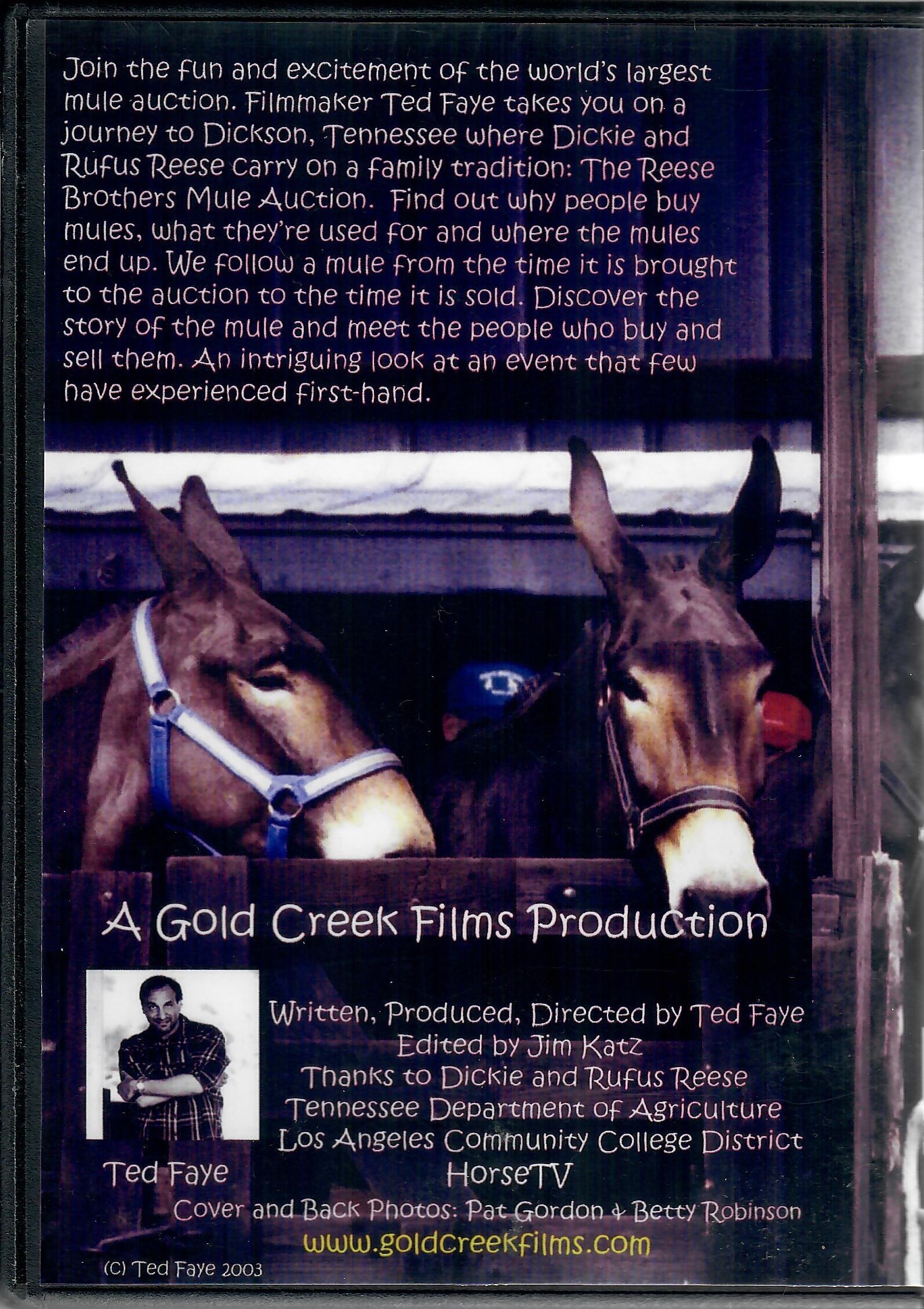 Mule for Sale – Bild 2