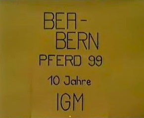 10 Jahre IG-Maultier- Sternritt und Schau BEA Bern / Pferd '99