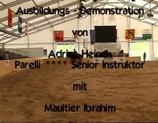 Ausbildungs-Demonstration mit Maultier Ibrahim